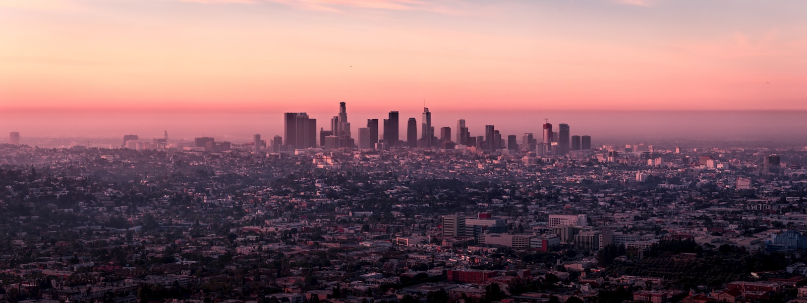 City skyline above dense neighbourhoods at pink dusk